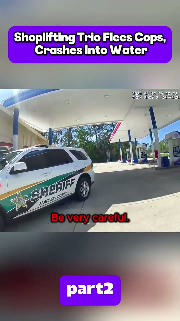 Deputies Chase Shoplifting Trio, Then a Car Ends Up in Water