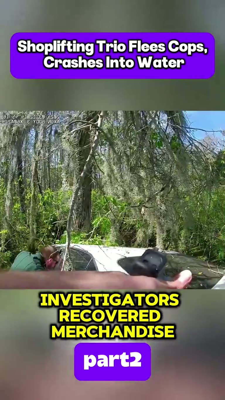 Deputies Chase Shoplifting Trio, Then a Car Ends Up in Water