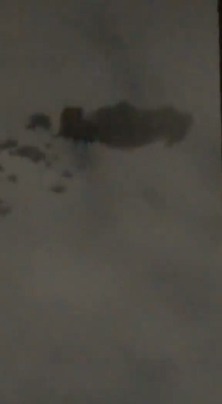 A Dark Shape in the Sky, and a Dog's Reaction No One Can Explain
