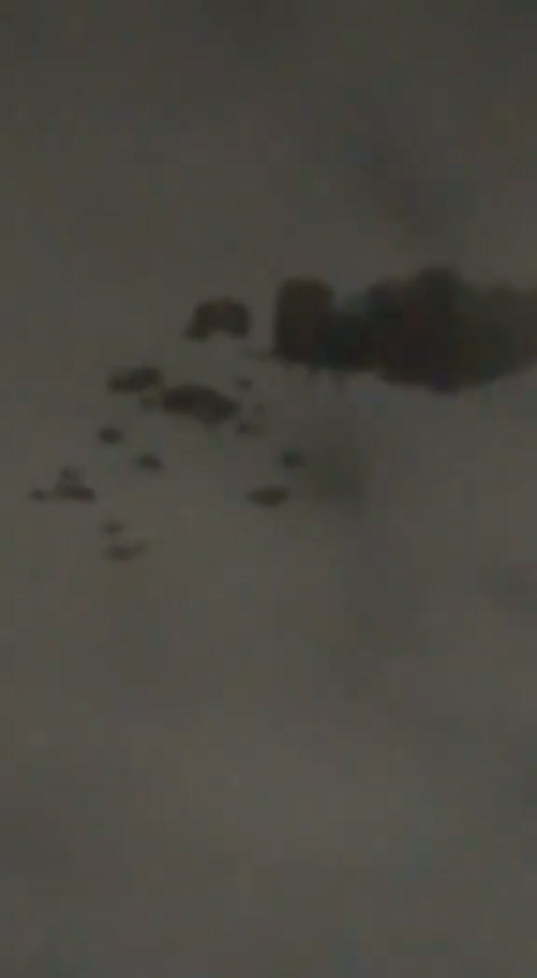 A Dark Shape in the Sky, and a Dog's Reaction No One Can Explain