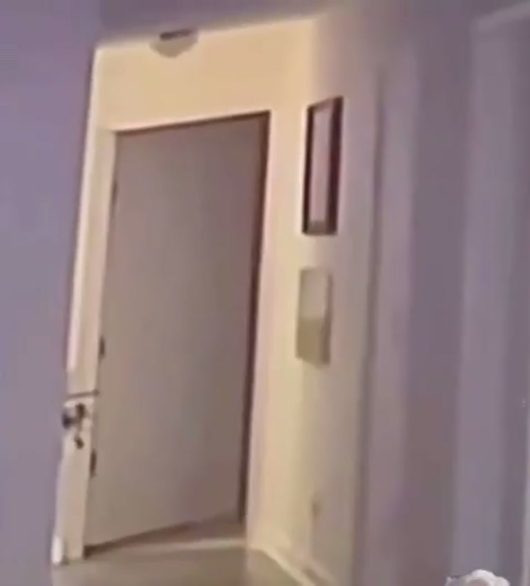Viral CCTV Clip Shows Blurred Shape at a Veterinary Clinic
