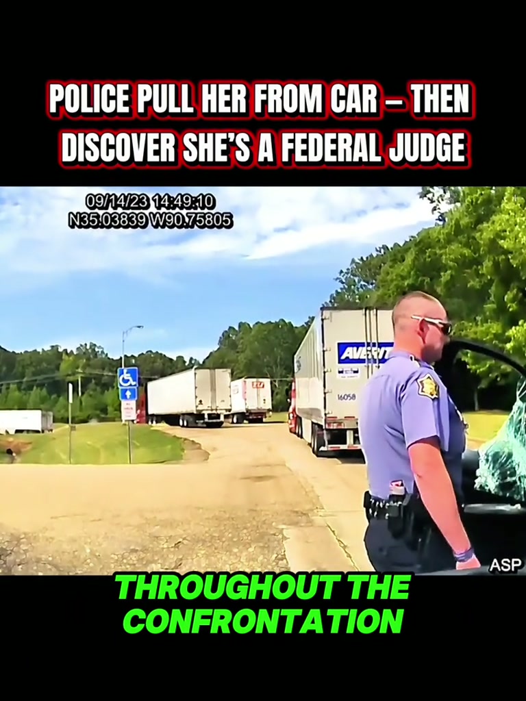 Remember When a Traffic Stop Was Just a Talk at the Curb?