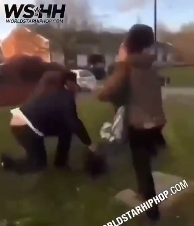 Chaotic Confrontation on a Suburban Lawn Caught on Video