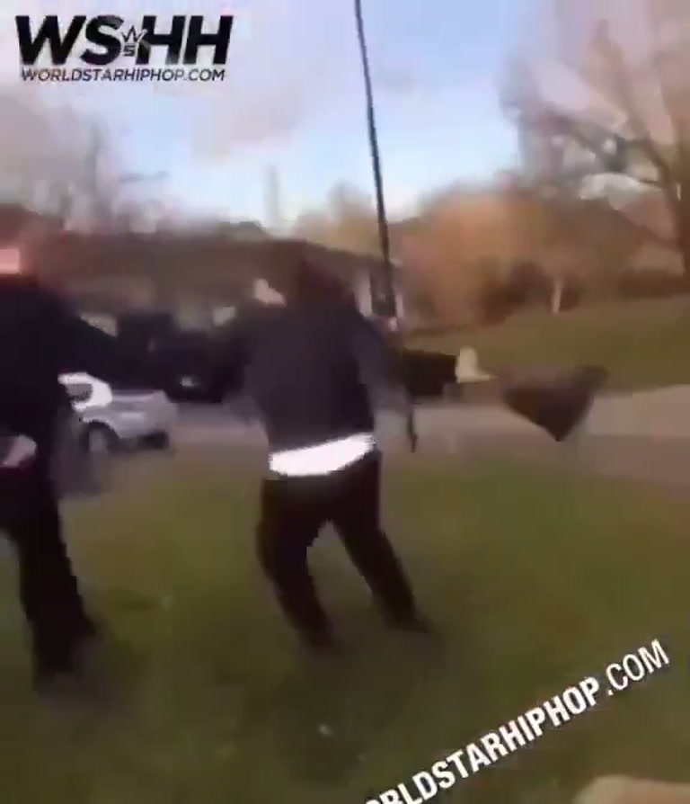 Chaotic Confrontation on a Suburban Lawn Caught on Video