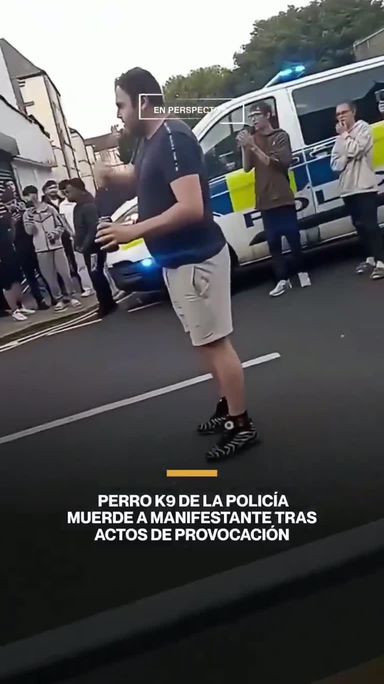 Police K9 Bites Man on a Street as Bystanders Film the Scene