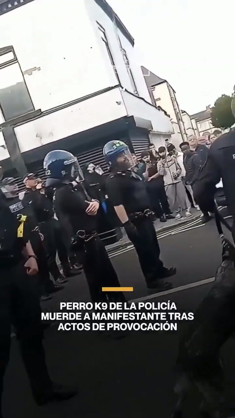 Police K9 Bites Man on a Street as Bystanders Film the Scene