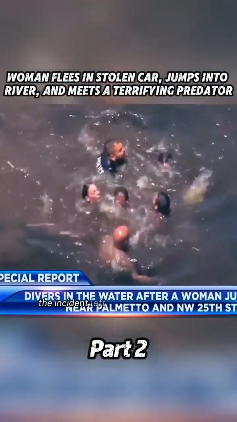 Woman Flees Stolen Car, Jumps Into River—Then Something Pulls Her