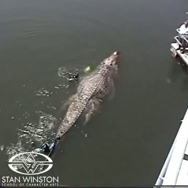 Crocodile Glides Through Murky Water as Bubbles Trail Behind