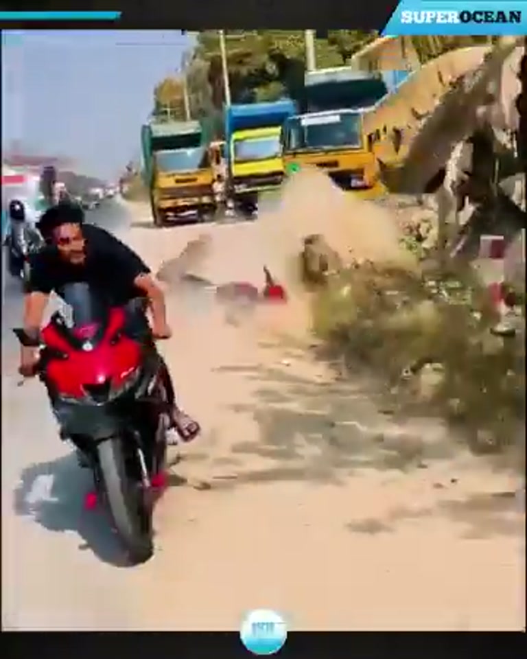 Traffic Compilation Turns Ten Ordinary Roads Into Chaos in Seconds