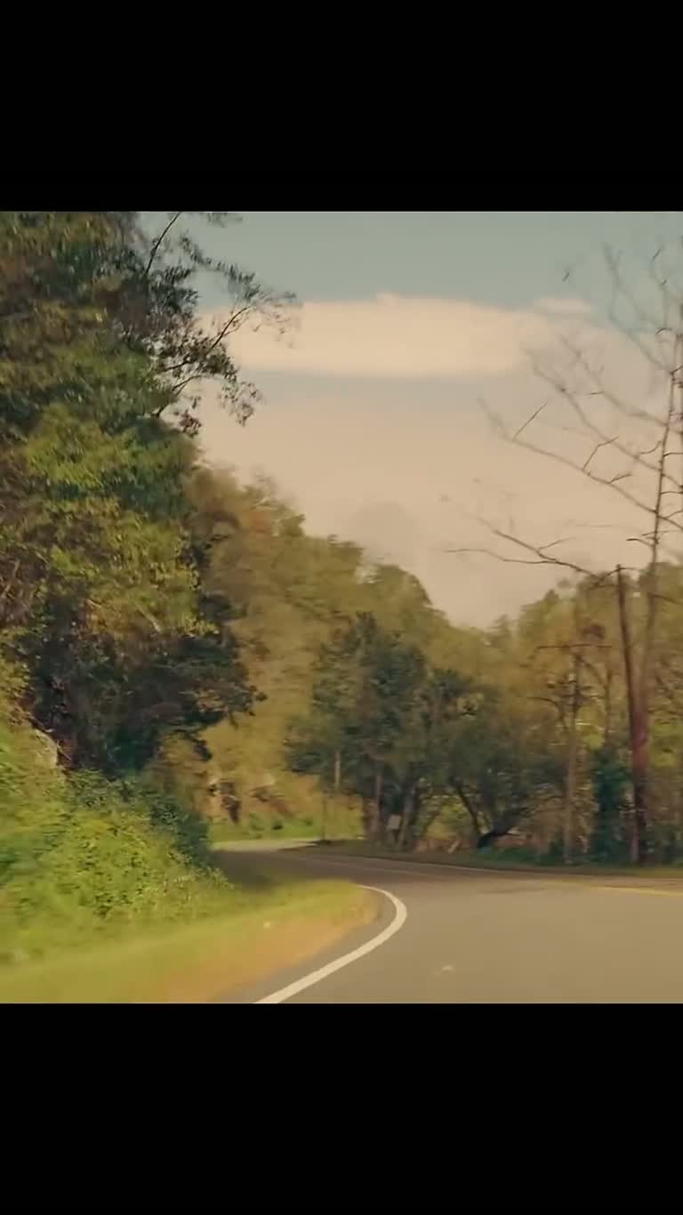A Routine Traffic Stop Turns on One Sentence Nobody Expects