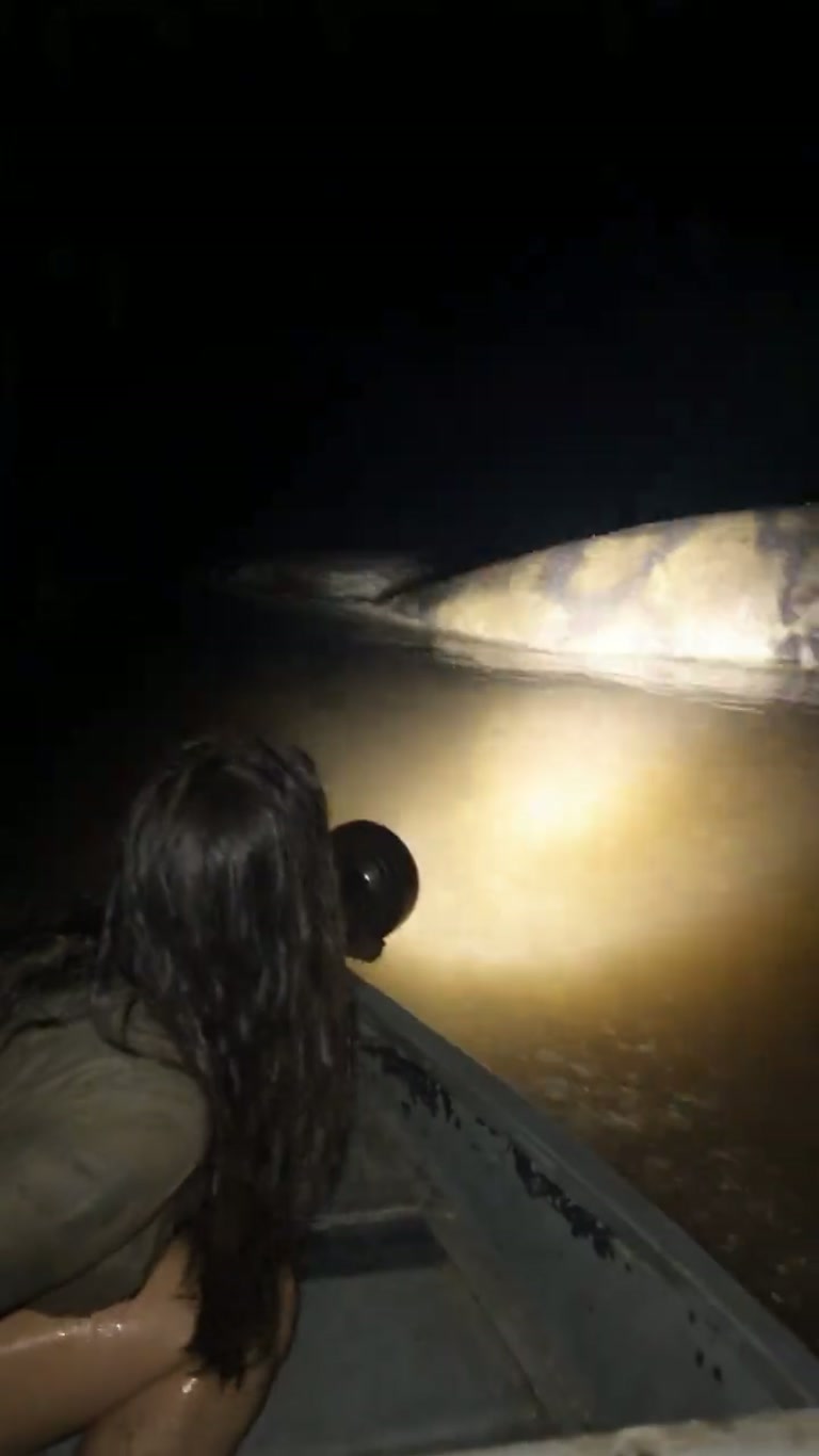 A Flashlight Beam Sweeps the Water — and Something Moves Below