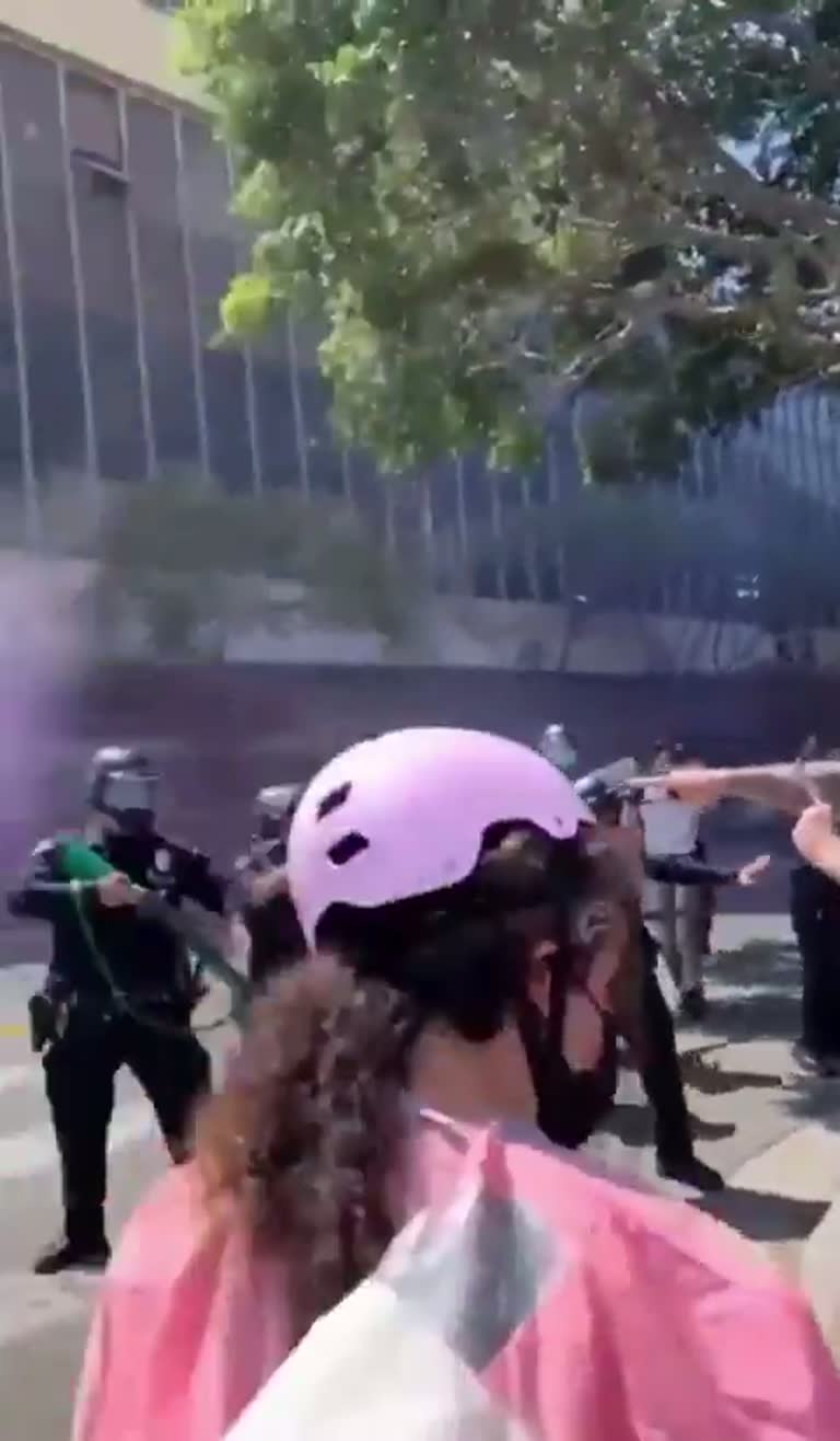 Riot Police Advance as Purple Smoke Fills Street at Protest
