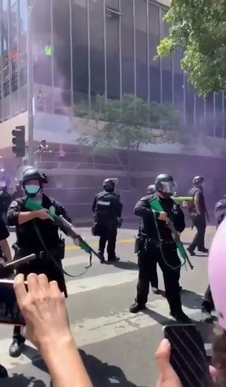Riot Police Advance as Purple Smoke Fills Street at Protest