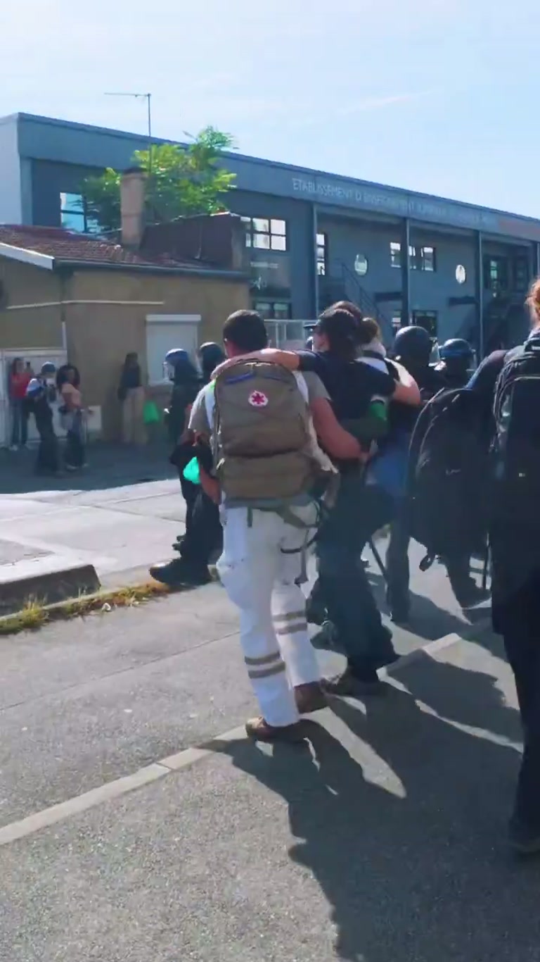Wheelchair Claim at Front of French Protest Draws Attention