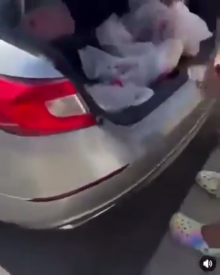 Woman Follows a Car and Finds Groceries, Then a Confrontation