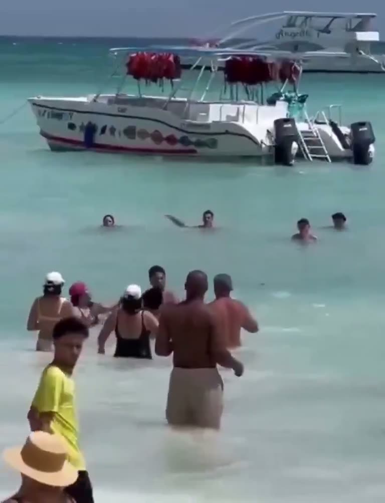 Beach Day Turns Tense as a Man Strikes a Woman in the Water