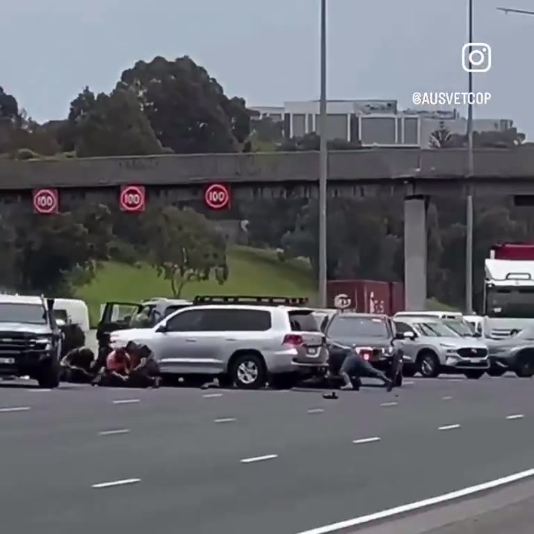 Tactical Police Swarm a Melbourne Freeway in Daylight Takedown