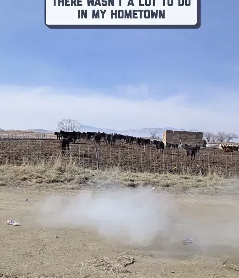 Cows Barely React as Bottle Blast Rocks a Quiet Rural Field