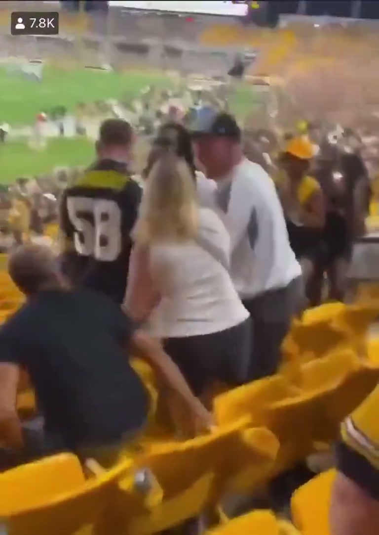Stadium Scuffle in Yellow Seats Draws a Crowd and a Call for Glasses
