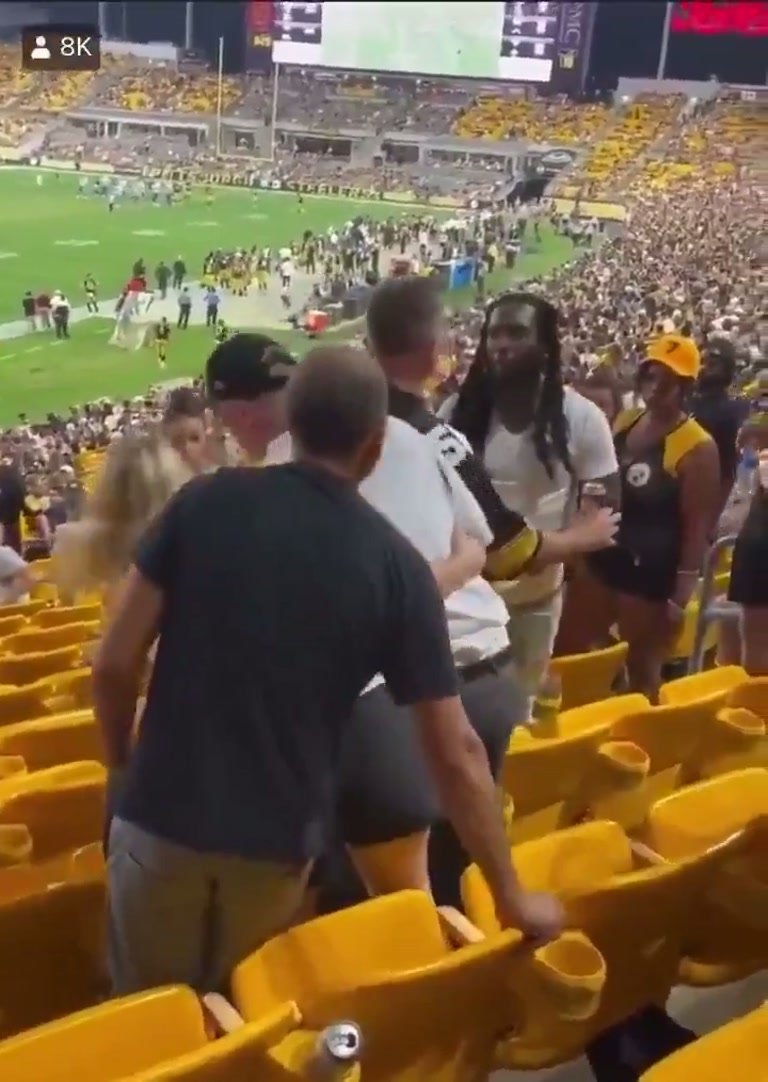 Stadium Scuffle in Yellow Seats Draws a Crowd and a Call for Glasses