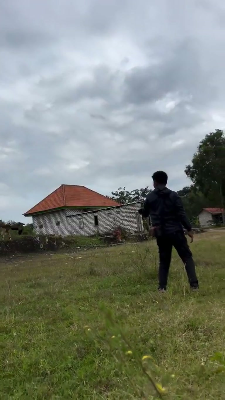 In an Empty Field, a Man Raised His Arm and a Huge Bird Came Down