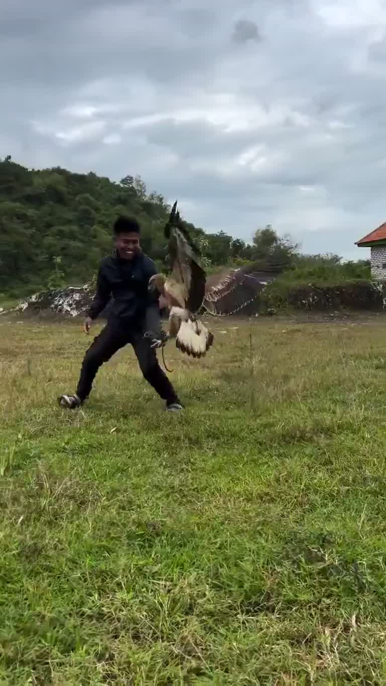 In an Empty Field, a Man Raised His Arm and a Huge Bird Came Down