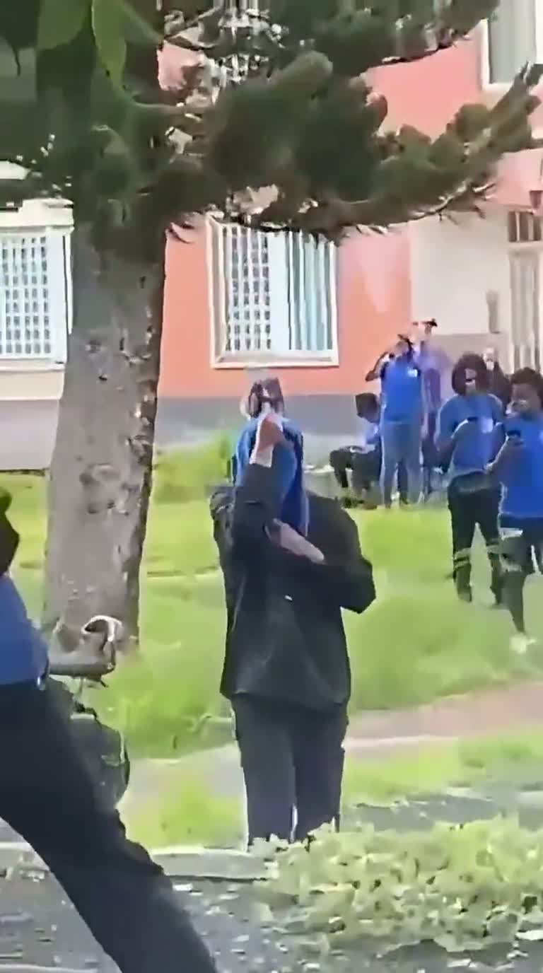 Viral clip: a tree felled in a courtyard as claims swirl online