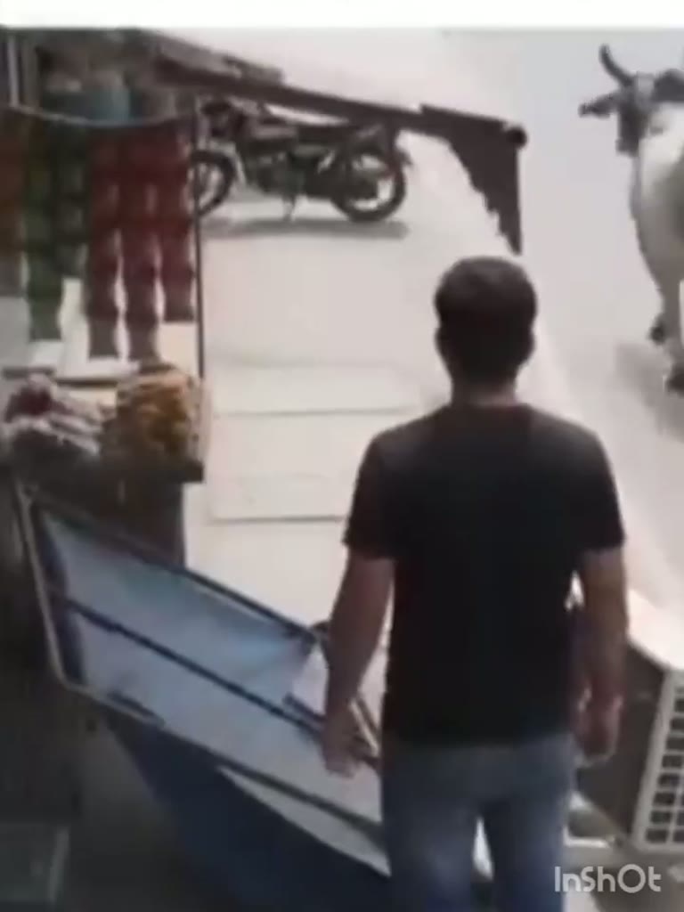Man Holds His Phone as a Bull Walks Straight at Him in a Lane
