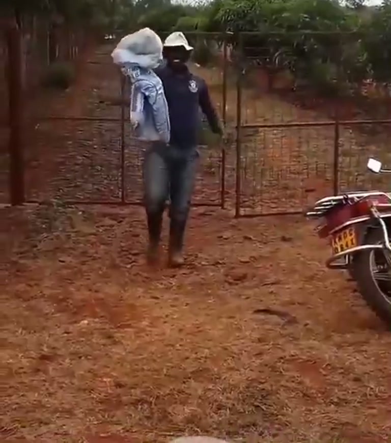 A White Sack, a Red Bike and a Bee Plan Dividing the Internet