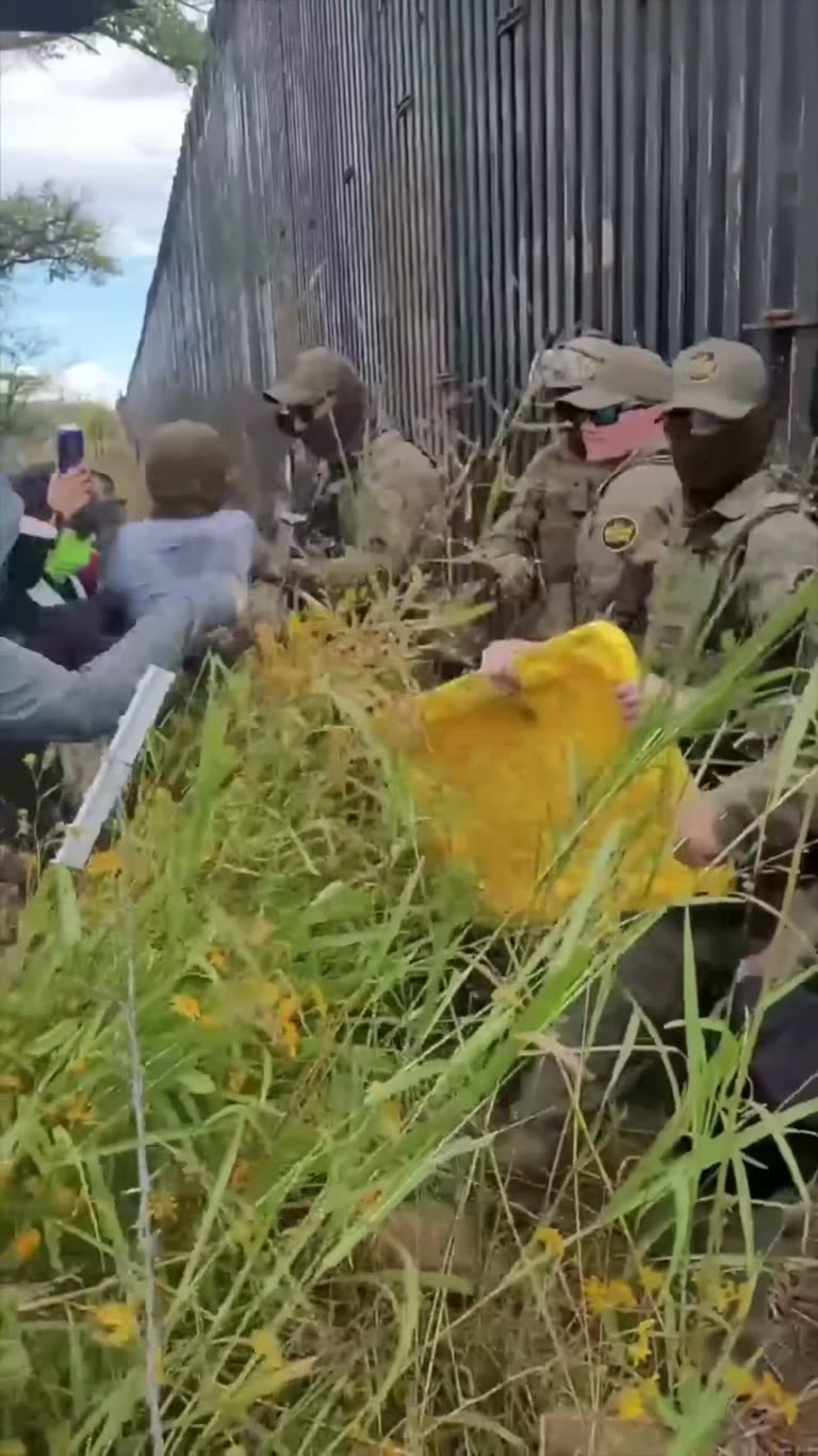 They Lay Down in the Grass to Stop a Steel Wall From Rising