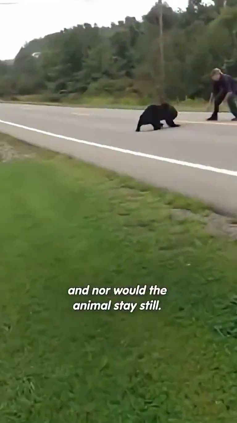 A Bear, a Bucket, and the Strangers Who Wouldn't Walk Away