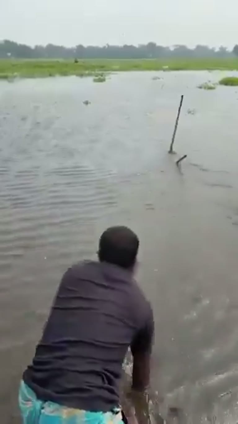 A Stick, a Bag, and the Floodwater Trick Nobody Expected