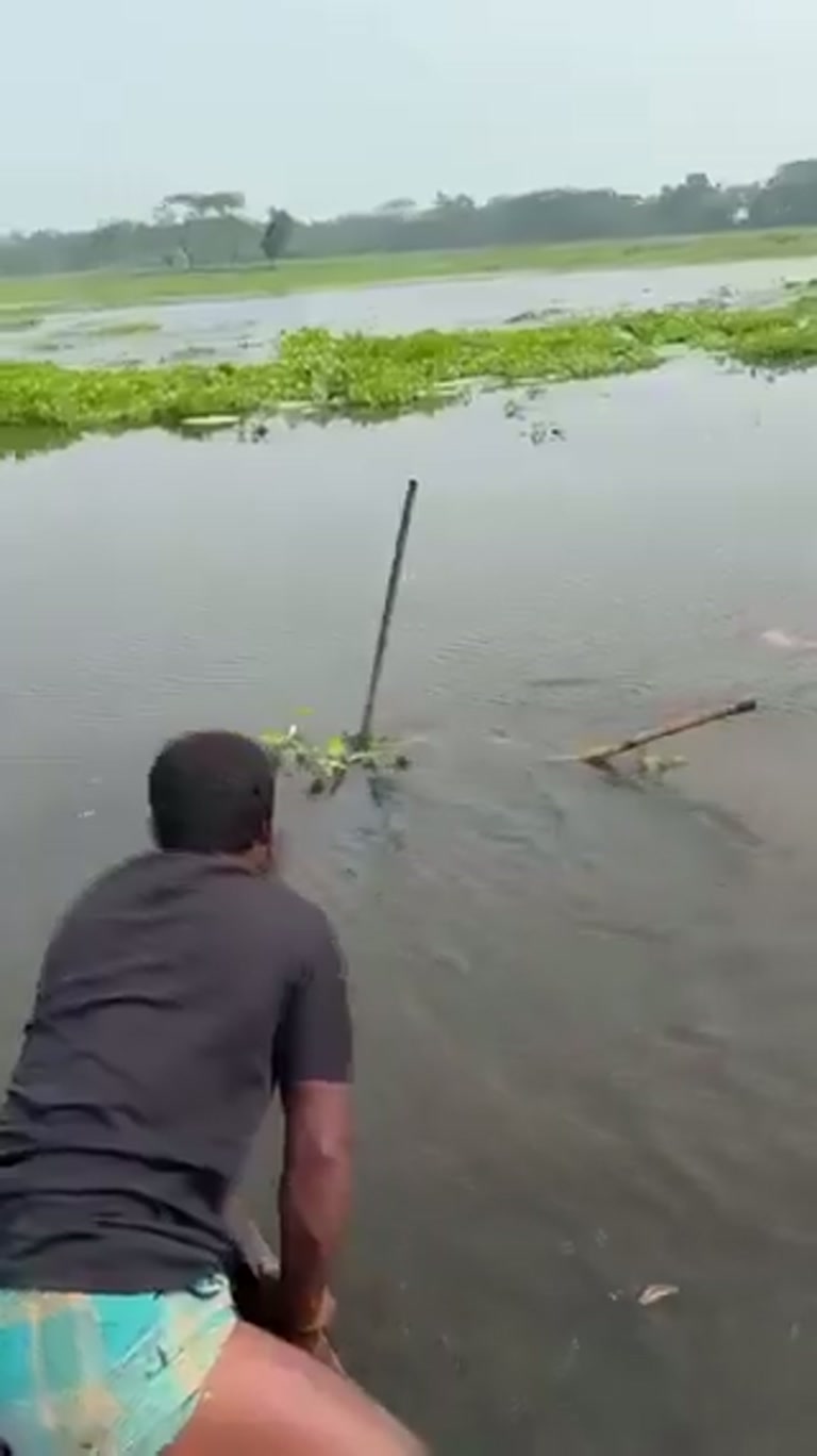 A Stick, a Bag, and the Floodwater Trick Nobody Expected