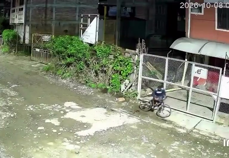 A Bicycle, a Quiet Street, and the Morning Everything Changed