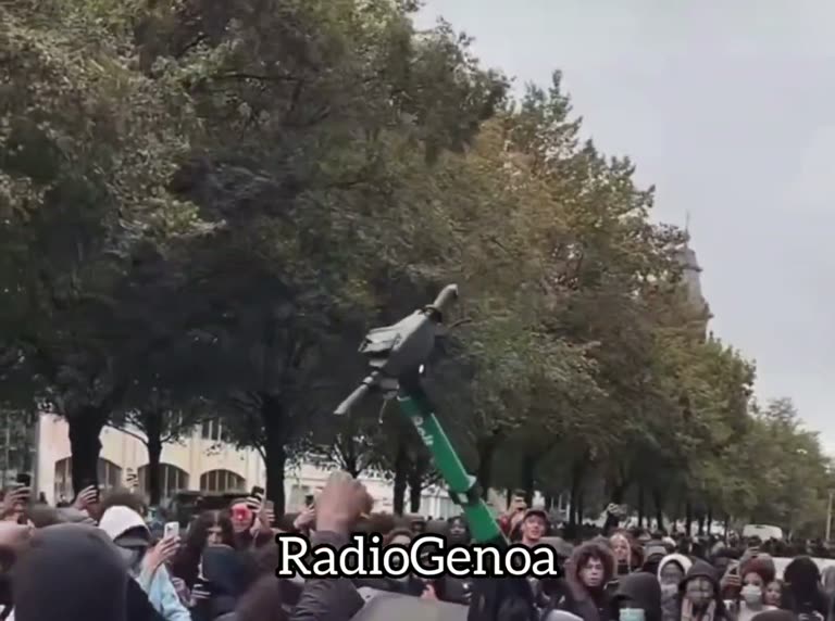 A Crowd Freezes on a Brussels Street as One Man Climbs a Car