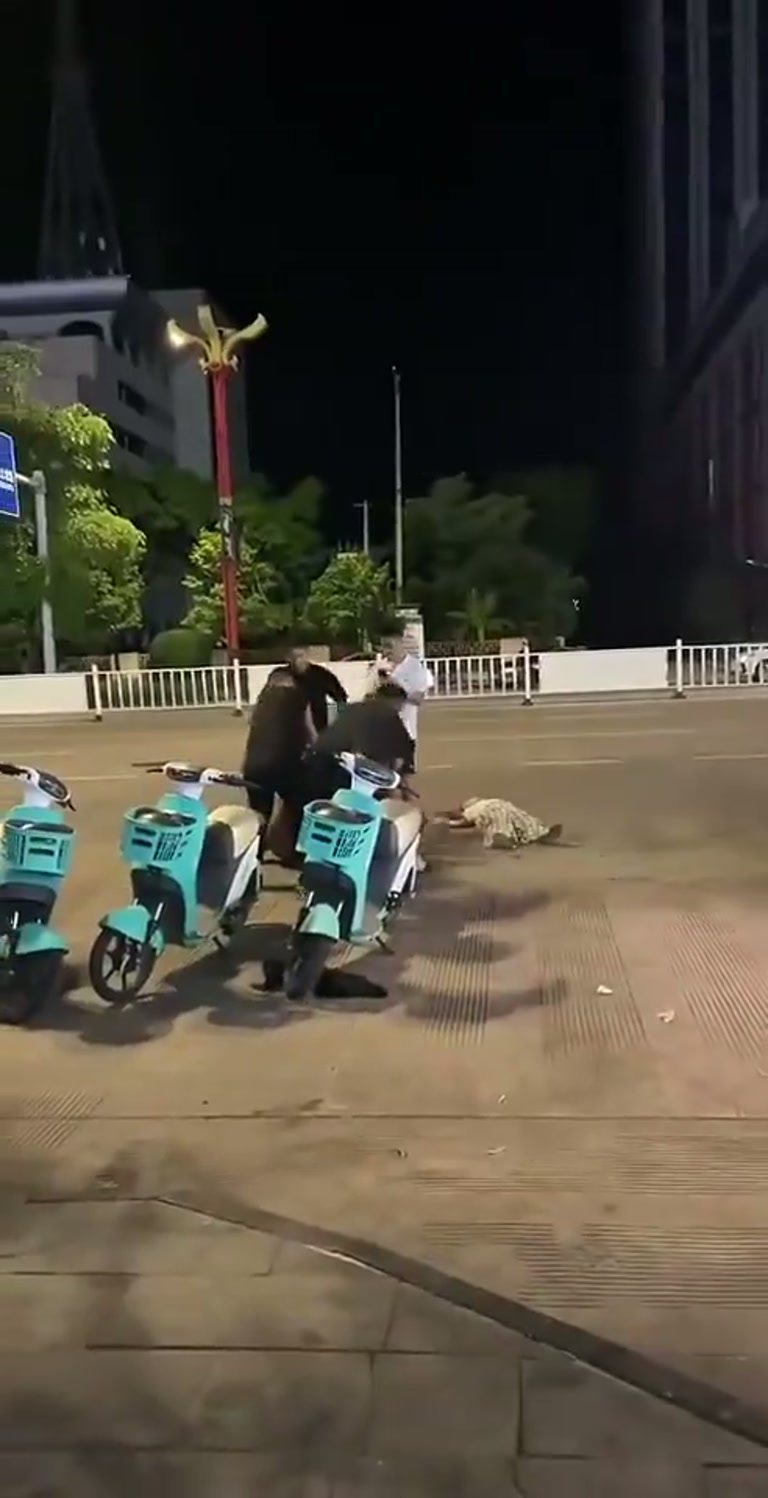 A Street Corner Fight Where Help Arrives One Punch Too Late