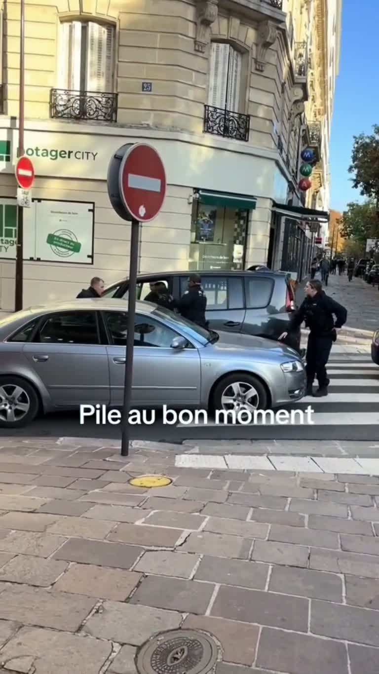 Charenton-le-Pont: A Refusal To Stop, A Van, And A Viral Debate