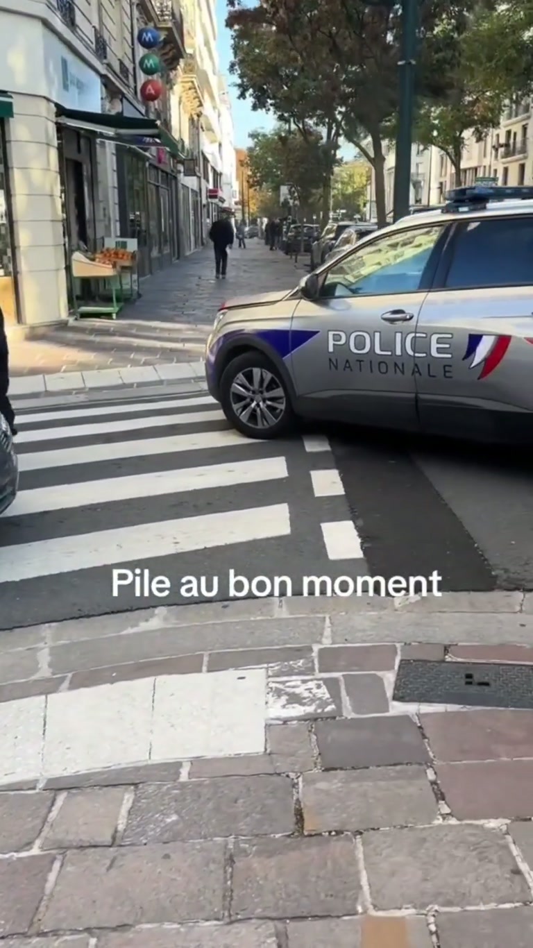 Charenton-le-Pont: A Refusal To Stop, A Van, And A Viral Debate
