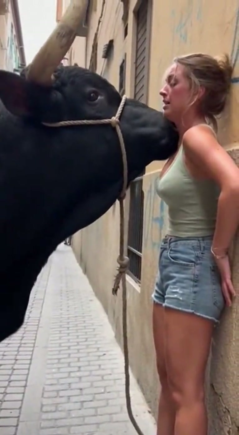 A Quiet Alley, a Massive Bull, and a Woman Trapped Against a Wall