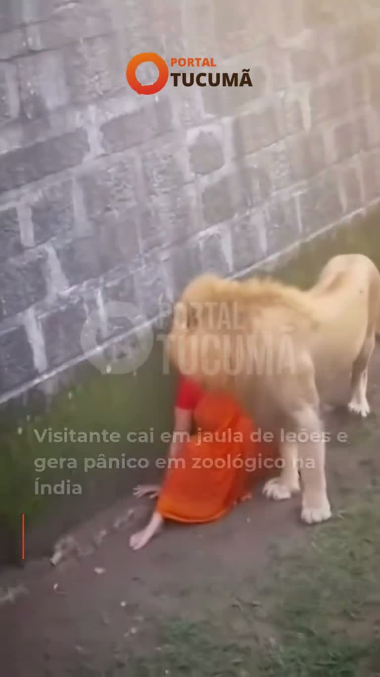 A Split-Second Fall Into the Lion's Den That No One Saw Coming