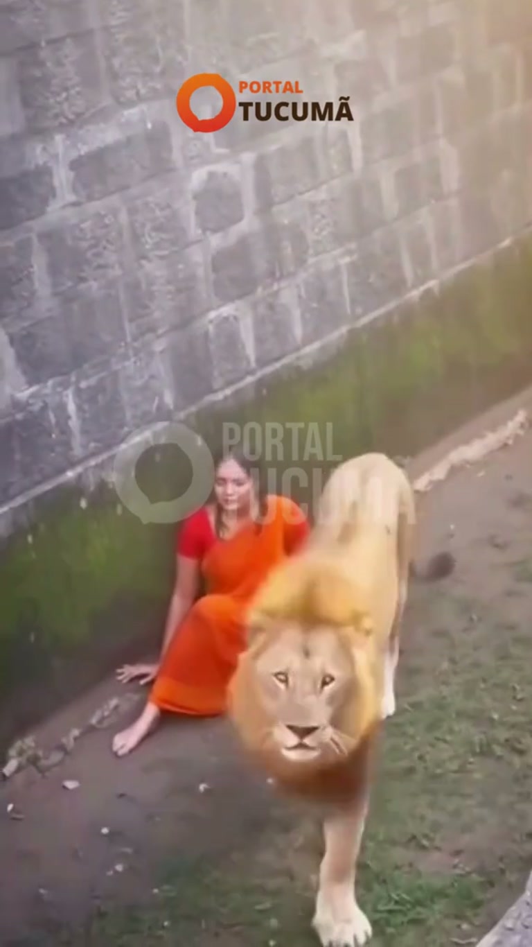 A Split-Second Fall Into the Lion's Den That No One Saw Coming