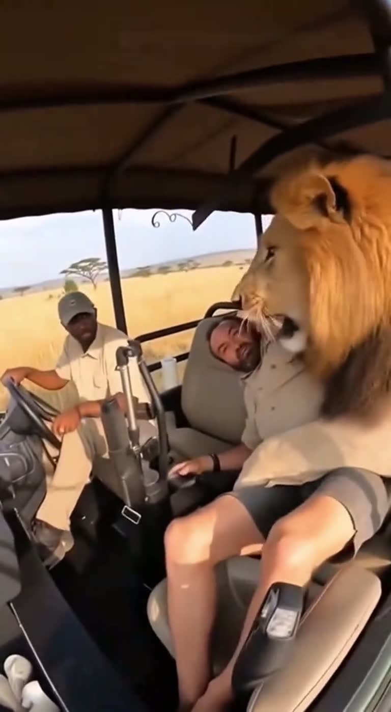 Terror in the Open Jeep: The Safari Tour That Turned Deadly