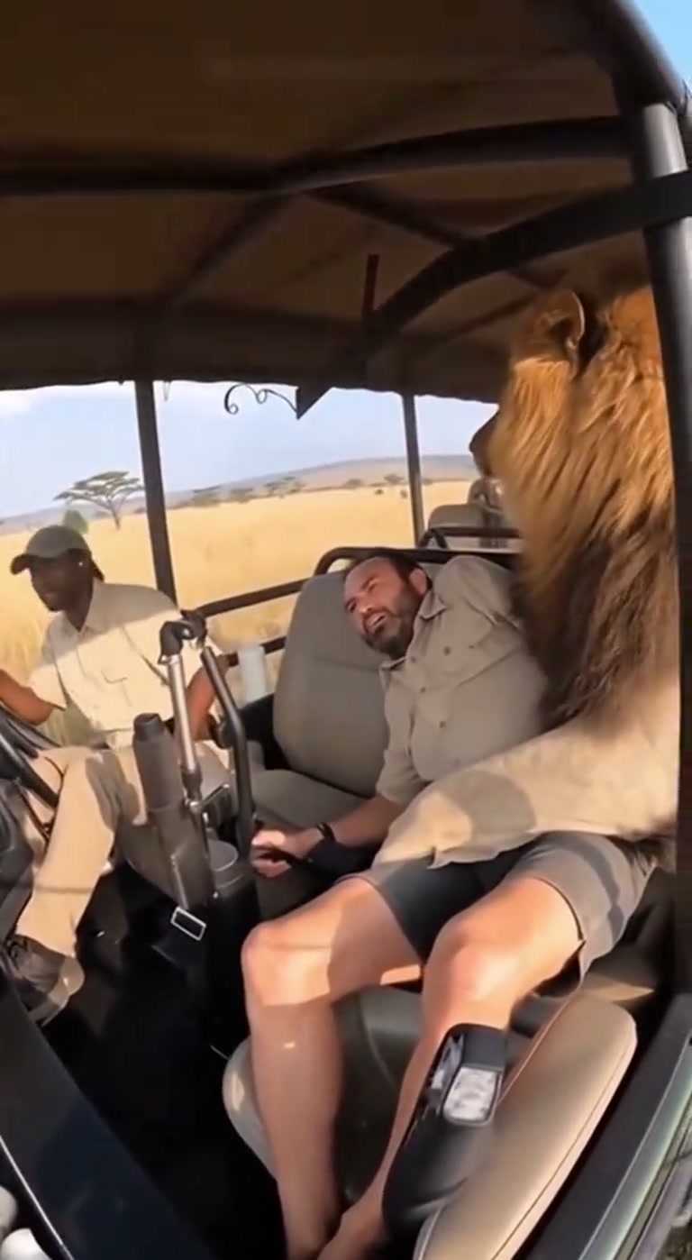 Terror in the Open Jeep: The Safari Tour That Turned Deadly