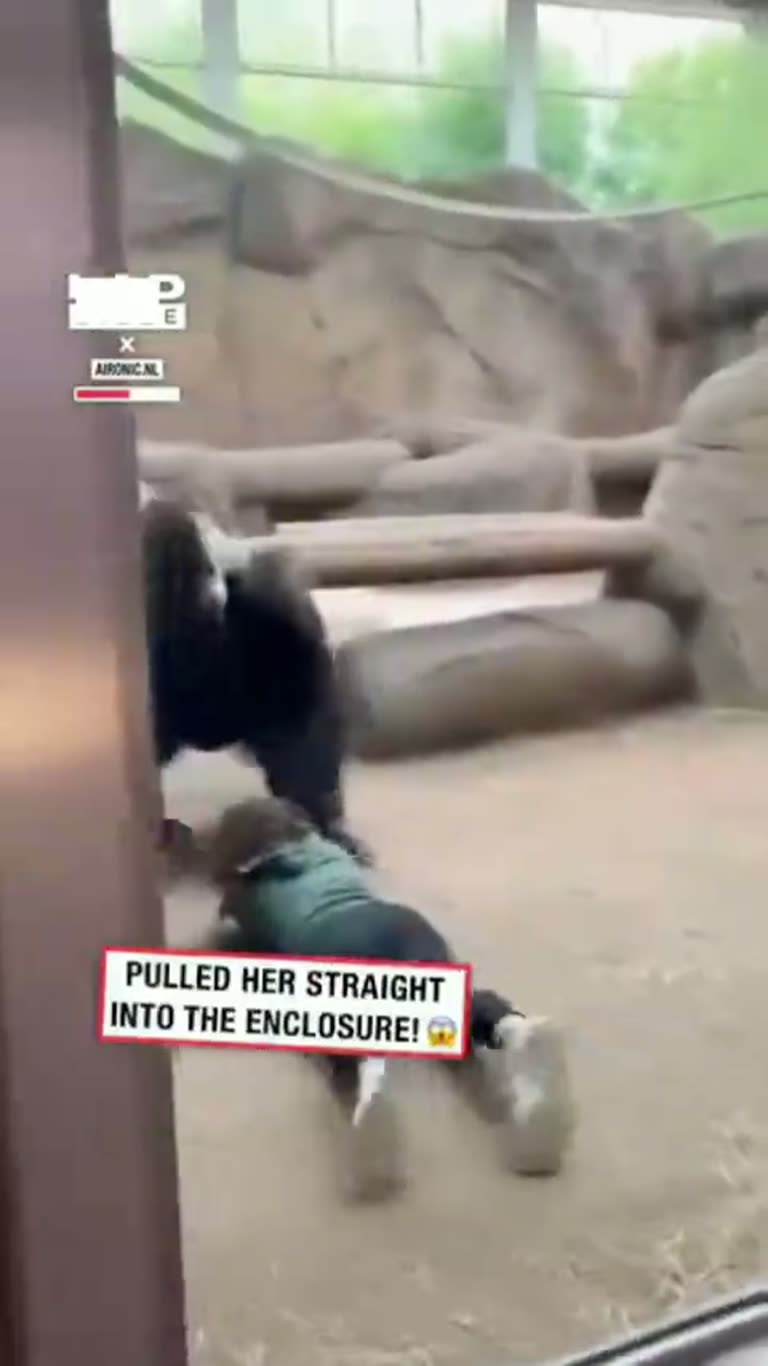 The Ring, the Gorilla, and the Split-Second Pull