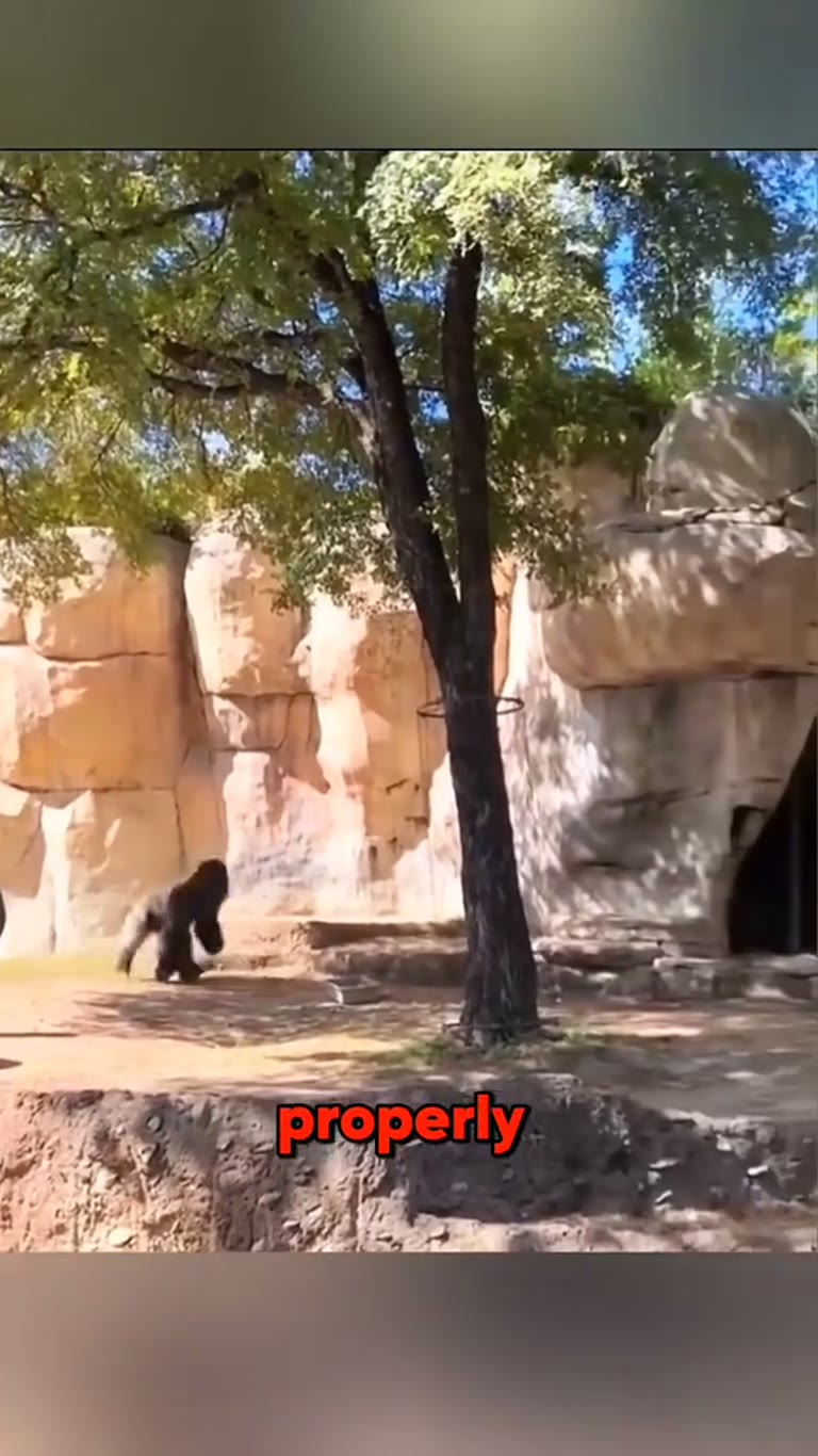 Wild Animal Encounters: The Moment Everything Changes