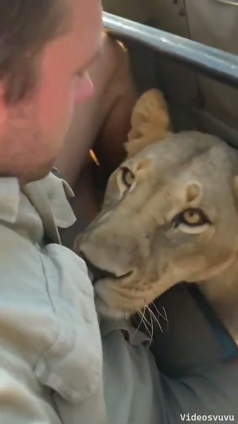 A Quiet Encounter at the Edge of the Wild
