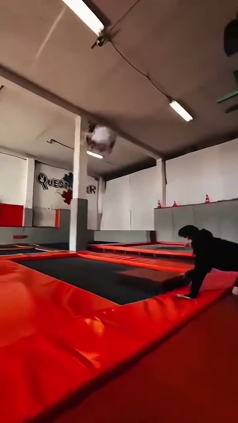 The Trampoline Jump That Turned Into a Backyard Disaster