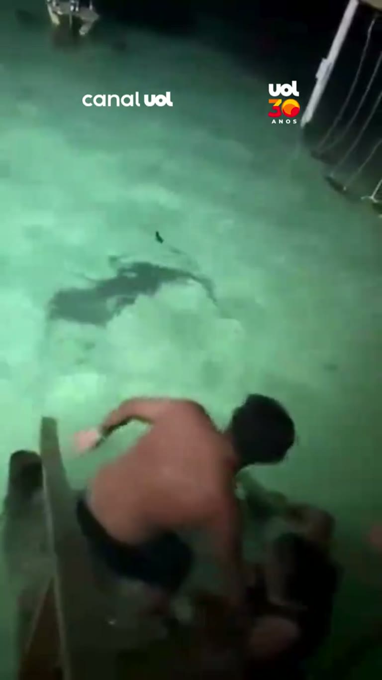 A Quiet Resort Swim Turns Into a Tense Escape