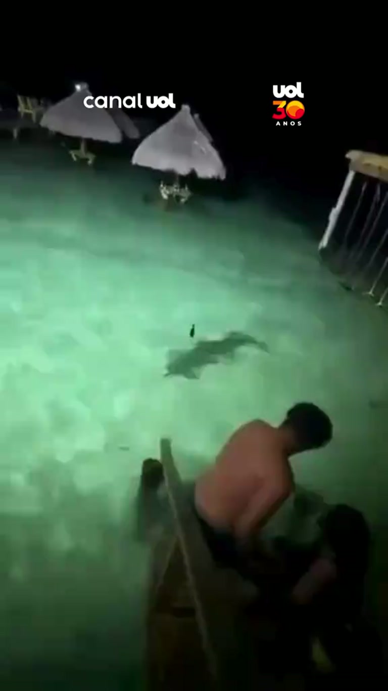 A Quiet Resort Swim Turns Into a Tense Escape