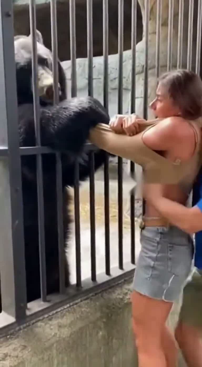 A Day at the Zoo Turns Into a Desperate Test of Strength